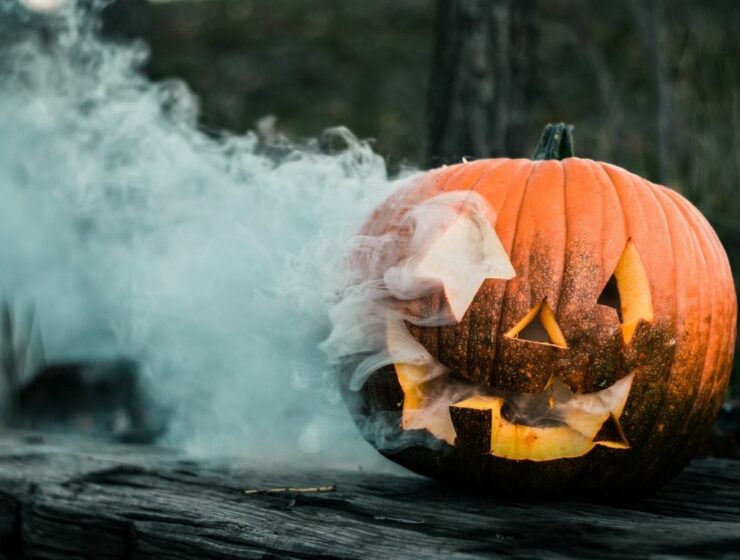 Halloween at the Hatchery